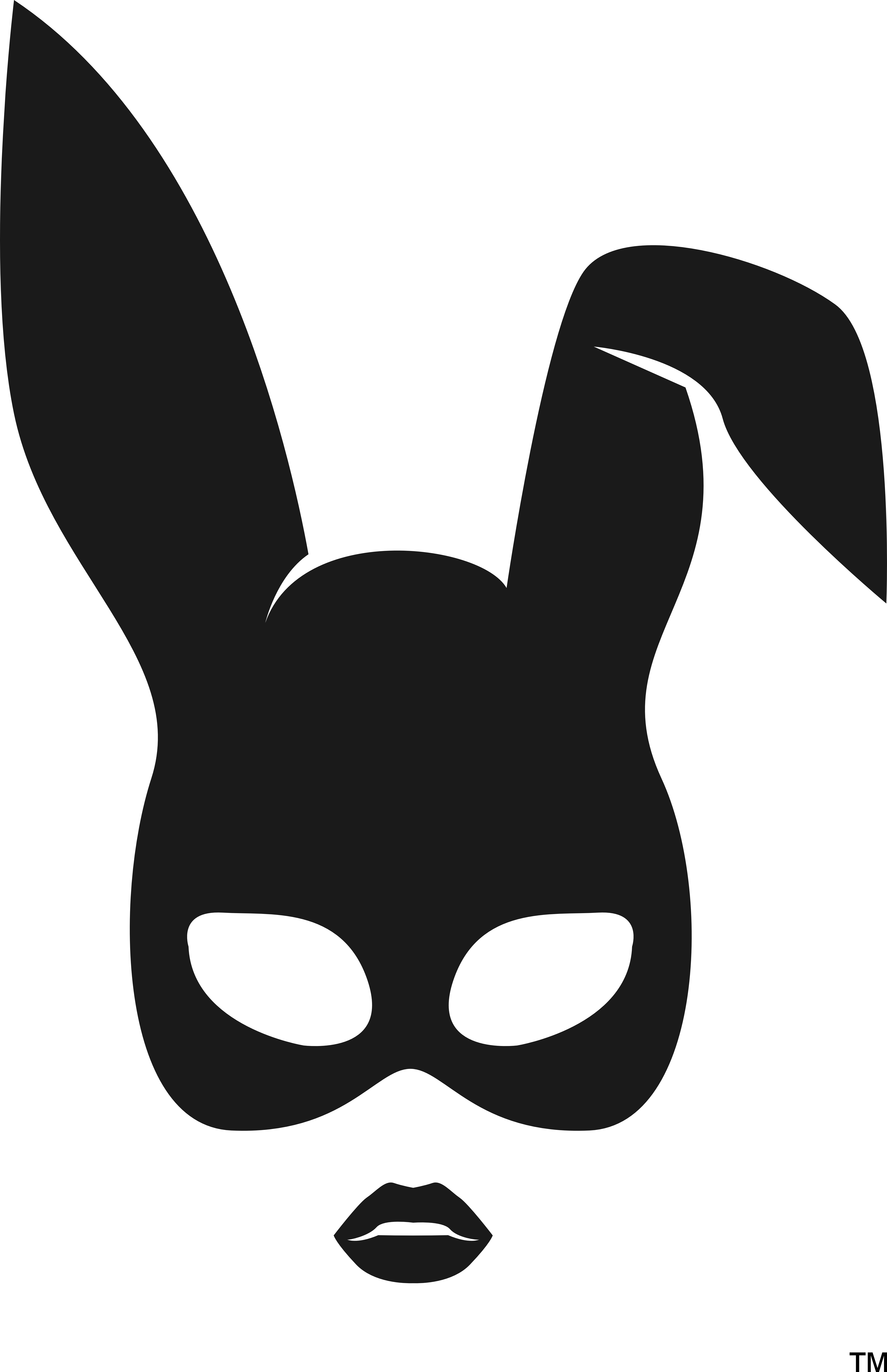 Bimbodesigner logo for light backgrounds